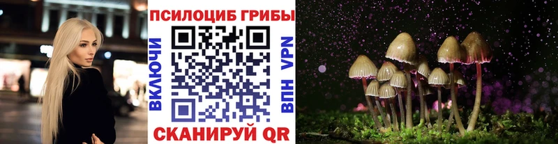 Псилоцибиновые грибы мицелий  сколько стоит  Дюртюли 