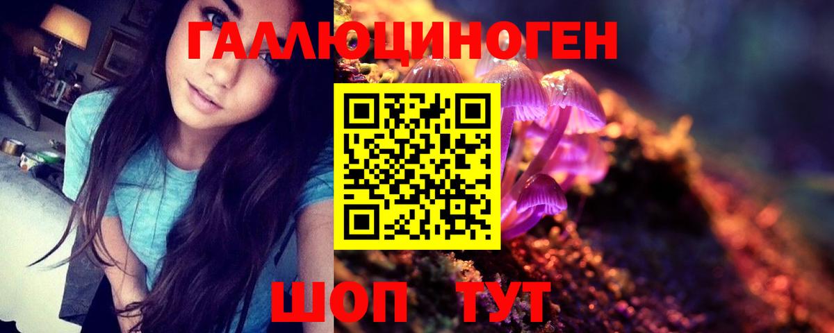 Псилоцибиновые грибы Psilocybe  Галлюциногенные грибы Psilocybe  Дюртюли  Вход с VPN 